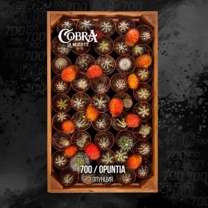 Табак Cobra La Muerte Opuntia (Опунция) 40 гр.
