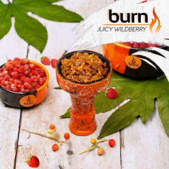 Burn с ароматом дикая земляника (Juicy wildberry), 200гр.
