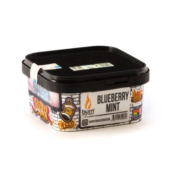 Burn с ароматом свежий черничный вкус с мятой (Blueberry Mint), 200гр.