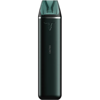 Эл. сиг. IGNITE V 30 3000 Cactus Ice/ Кактус айс 2 %