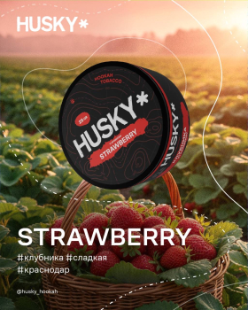 Новые вкусы от бренда HUSKY