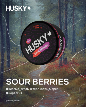 Новые вкусы от бренда HUSKY