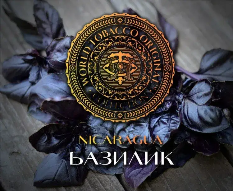 Табак WTO Nicaragua – Базилик 20 гр.