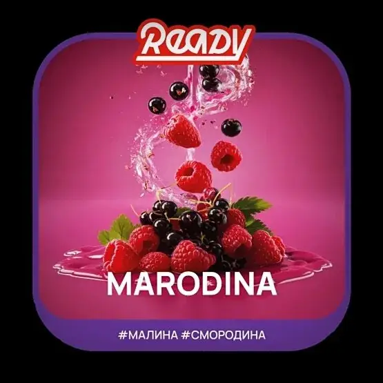 Табак для кальяна Ready 100гр Marodina МРК