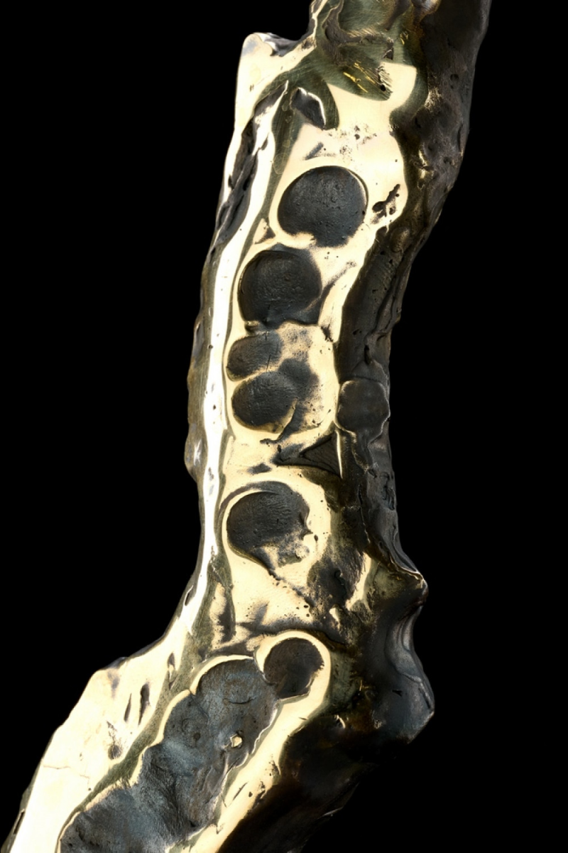 Кальян Maklaud Dragon Claws