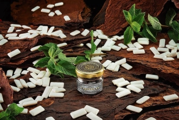 Табак WTO Caribbean Blend – Мятная жевательная резинка 20 гр. Табак WTO Caribbean Blend – Мятная жевательная резинка 20 гр.