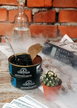 Северный Центровой кактус 25гр МРК