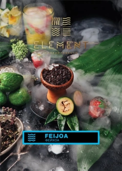 Element ВОДА Feijoa 40гр