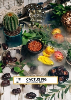 Element ВОЗДУХ Cactus Fig 40гр Element ВОЗДУХ Cactus Fig 40гр