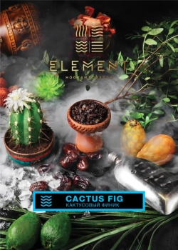 Element ВОДА Cactus Fig 40гр