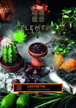 Element ЗЕМЛЯ Cactus Fig 100гр МРК