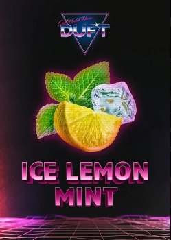 Duft Ice lemon mint 100гр