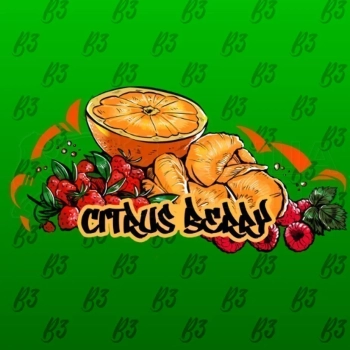B3 Berry citrus 250гр АТП B3 Berry citrus 250гр АТП