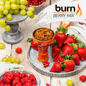 Burn Berry mix 100гр Burn Berry mix 100гр
