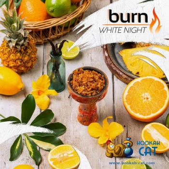 Burn White night 100гр