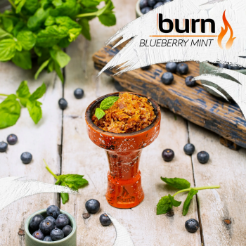 Burn Blueberry mint 25гр МРК