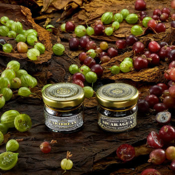 Табак WTO Caribbean Blend - Крыжовник 250 гр. Табак WTO Caribbean Blend - Крыжовник 250 гр.