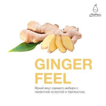 Табак MattPear - Ginger Feel 250 гр. Табак MattPear - Ginger Feel 250 гр.