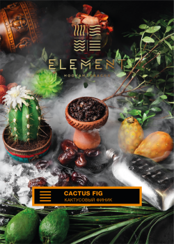 Element ЗЕМЛЯ Cactus fig 25гр МРК