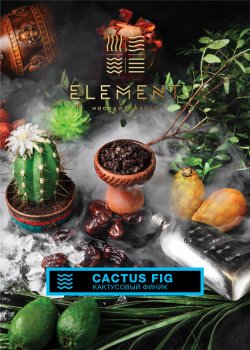 Element ВОДА Cactus fig 25гр