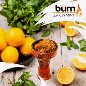 Burn Lemon mint 100гр