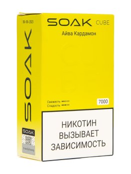 Электронная сигарета SOAK CUBE Айва Кардамон 7000 затяжек