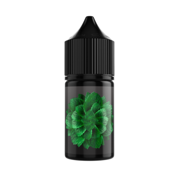 Жидкость SOAK L30 Cane Mint 30 мл 2 мг МРК