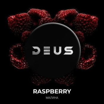 DEUS Raspberry 100гр DEUS Raspberry 100гр