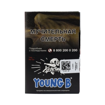 Хулиган Young B 25гр