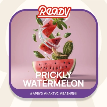 Табак для кальяна Ready 25гр Prickly Watermelon МРК Табак для кальяна Ready 25гр Prickly Watermelon МРК