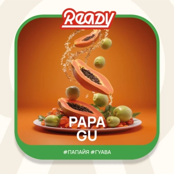 Табак для кальяна Ready 25гр Papa Gu Табак для кальяна Ready 25гр Papa Gu