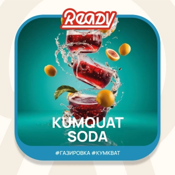 Табак для кальяна Ready 25гр Kumquat Soda Табак для кальяна Ready 25гр Kumquat Soda