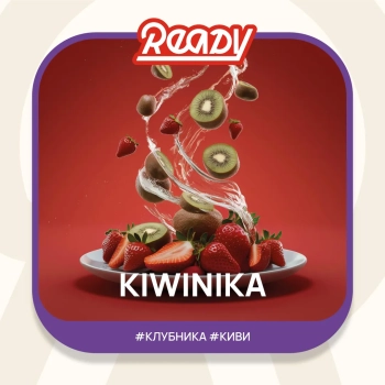 Табак для кальяна Ready 25гр Kiwinika