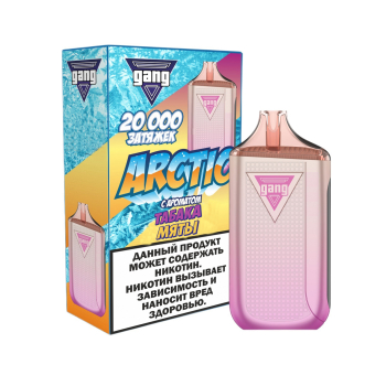 Эл. сиг. GANG ARCTIC 20000 Табак с мятой 2 %