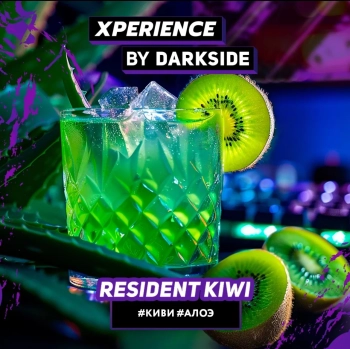 Табак Darkside Xperience - Resident Kiwi 250 гр.