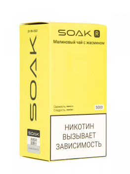 Электронная сигарета SOAK R Малиновый чай с жасмином 5000 затяжек